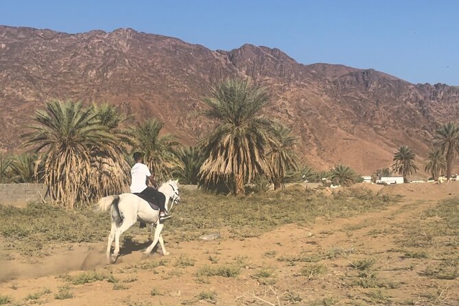 1 Hour Private Horse Riding in Madinah - Key Things That Make This Horse Ride Worth Your Time