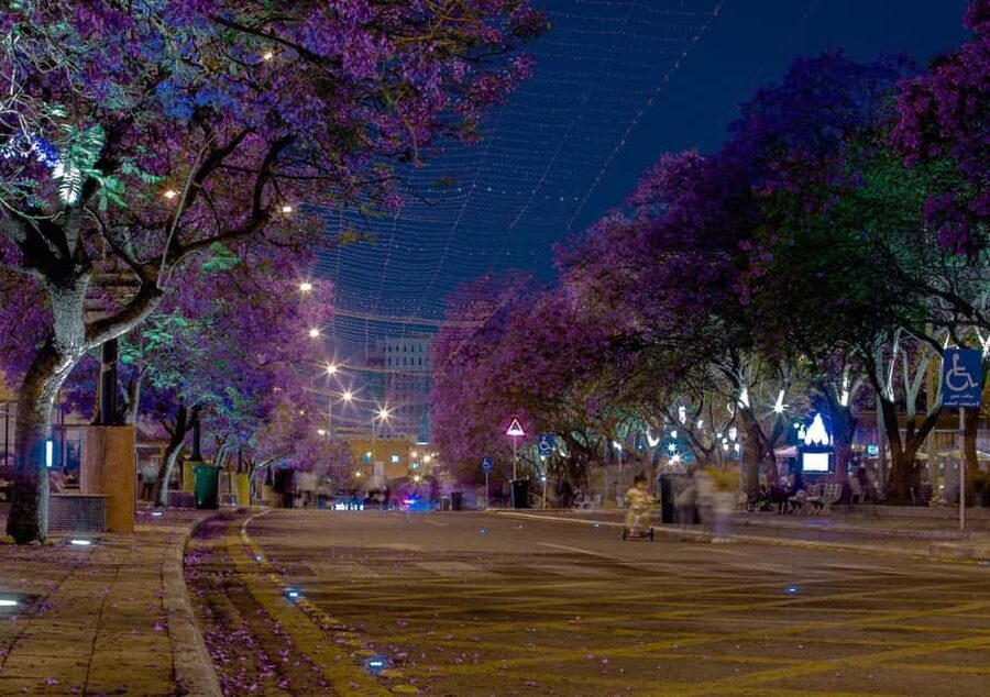 Abha City Tour & Rijal Almaa - Should you book the Abha City Tour and Rijal Almaa?