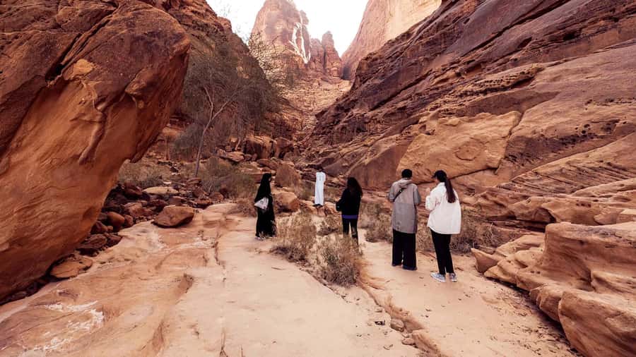 Al Ula: Dadan and Jabal Ikmah Tombs Guided Tour - What you will actually see: inscriptions, rock art, petroglyphs