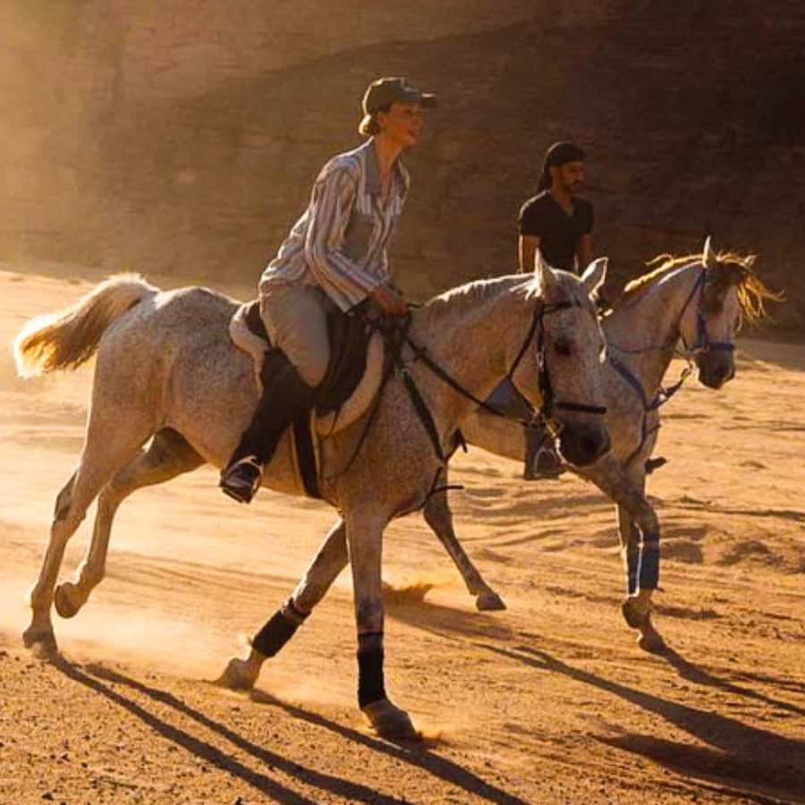 Al-Ula: Guided Horse Riding - Why Horse Riding in Al Ula Feels Different Than Just Sightseeing