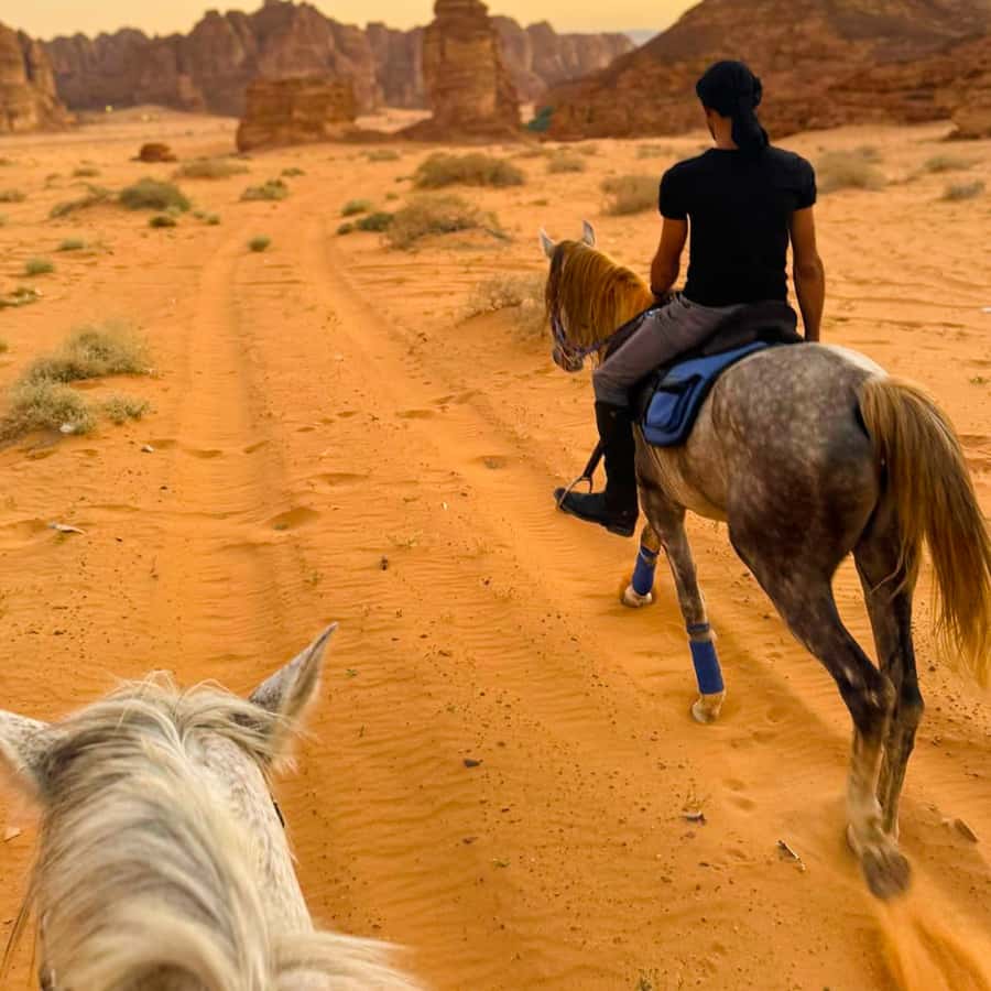 Al-Ula: Guided Horse Riding - Guides and Horse Care: What Makes the Ride Feel Safe and Enjoyable