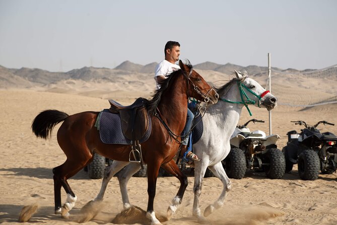 Desert Safari with Quad Bike Tours Jeddah - Bahrah Camel Farm Stop: The Calm Cultural Break