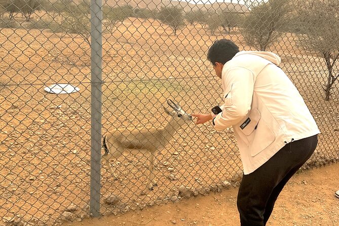 Edge of The World & Deer Reserve Off-road 4x4 Car Tour in Riyadh - Huraymila stop: gazelles, a viewpoint, and a quick reset