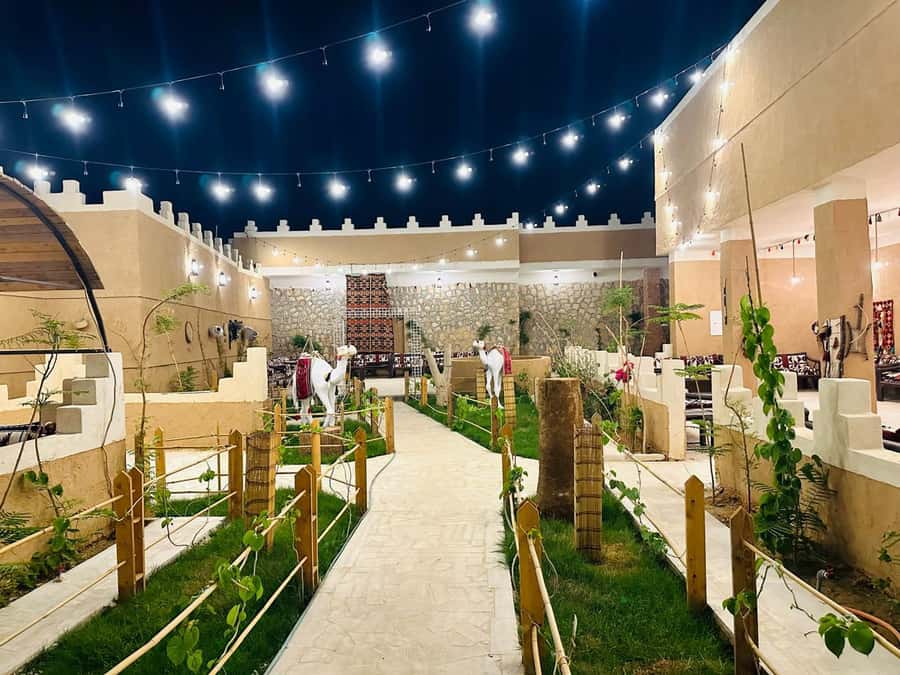 Edge of The World Riyadh,Camel Ride ,Bat Cave Visit & Dinner - Practical Tips I’d Follow Before You Go