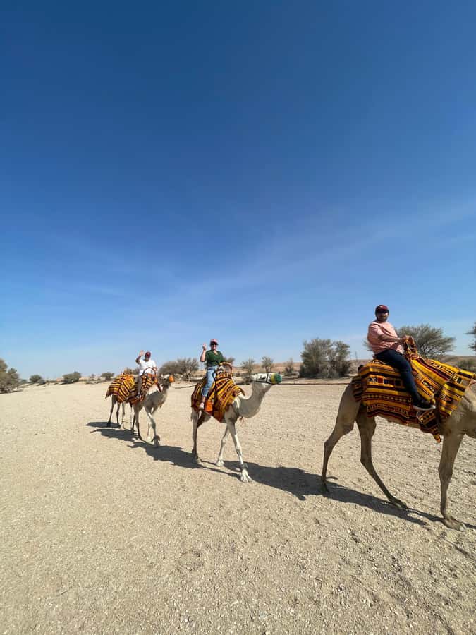 Edge of The World Riyadh,Camel Ride ,Bat Cave Visit & Dinner - Camel Ride Reality Check: Short, Scenic, and Photo-Friendly