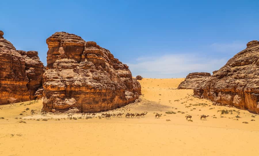 From AlUla: Hegra Tour - Key Highlights You Should Care About