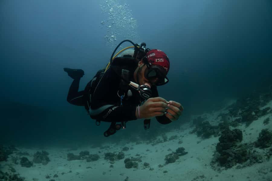 From Jeddah: Boat Trip and Diving for Certified Divers - Gear setup: what’s included, what you might rent, and how to budget