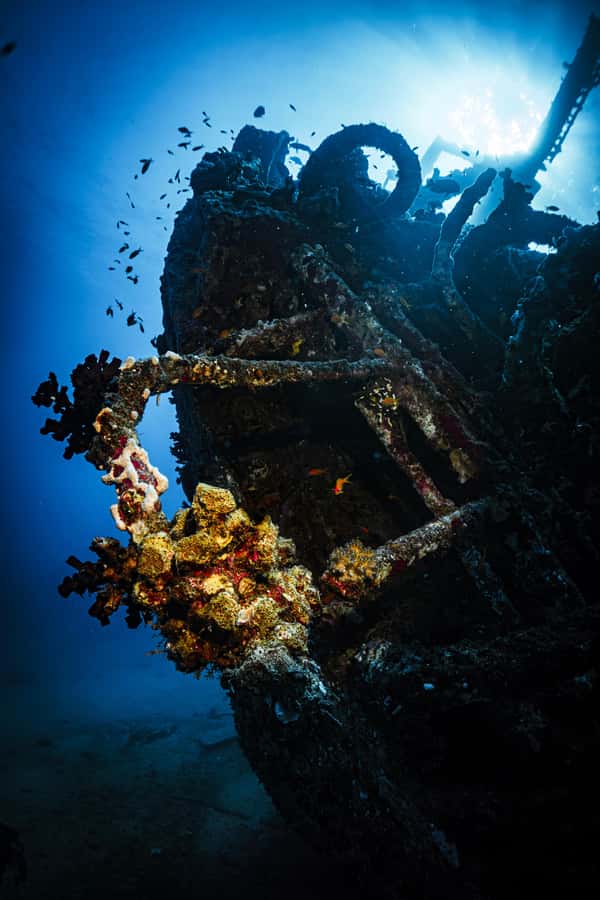 From Jeddah: Boat Trip and Diving for Certified Divers - Onboard snacks, soft drinks, and what to expect around meal time