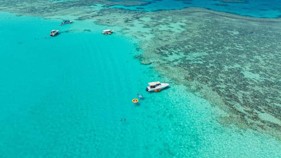 From Jeddah: Private Sea Trip to Bayadah Island - Key highlights at a glance