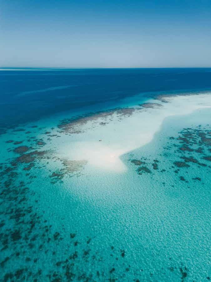 From Jeddah: Private Sea Trip to Bayadah Island - The snorkeling portion, guided and equipment included