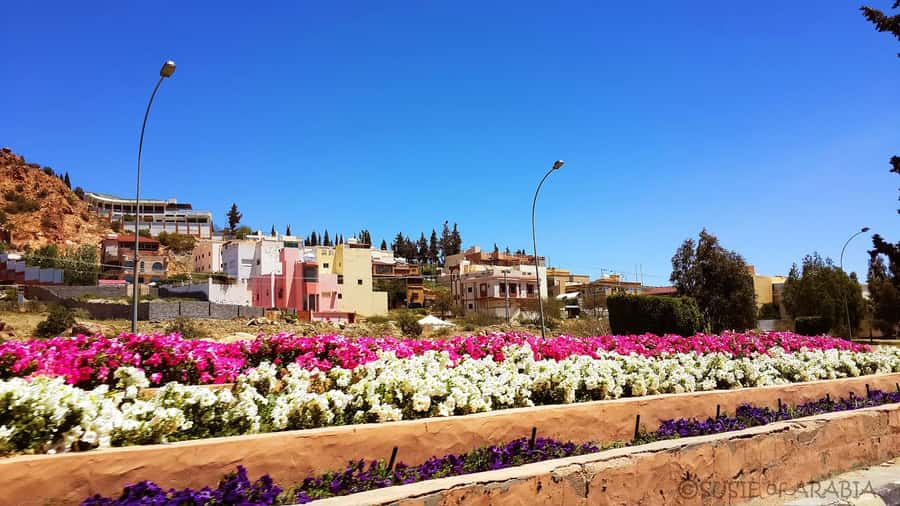 From Jeddah: Taif Day Tour - Leaving Jeddah: The 8-Hour Rhythm (And Why Timing Matters)