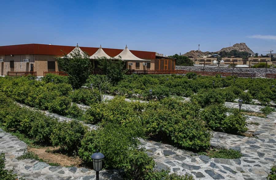 From Jeddah: Taif Exploration Tour with Lunch - How Much Time Do You Get in Taif City?