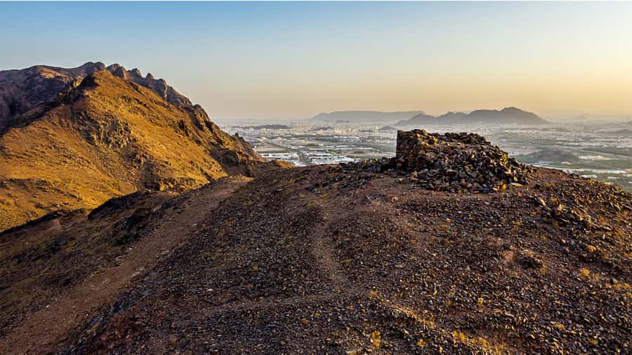 From Madinah: Half-Day Ziarah Tour - Quba Mosque and the Chance to Time Your Zuhr
