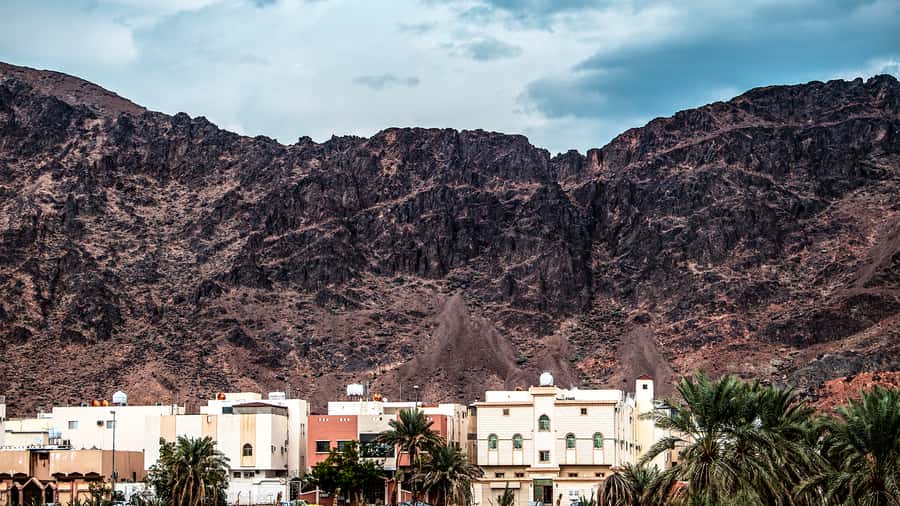 From Madinah: Half-Day Ziarah Tour - Transportation, Entrance Fees, and the $28 Value Question
