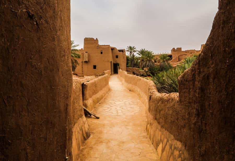 From Riyadh: Ushaiqer Village Highlights Tour with Transfer - Who should book this Ushaiqer highlights day trip