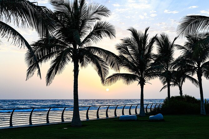 Half Day Jeddah Traditional City Tour - Al-Balad and the Traditional House Stops: Beit Nassif and Baghdadi House