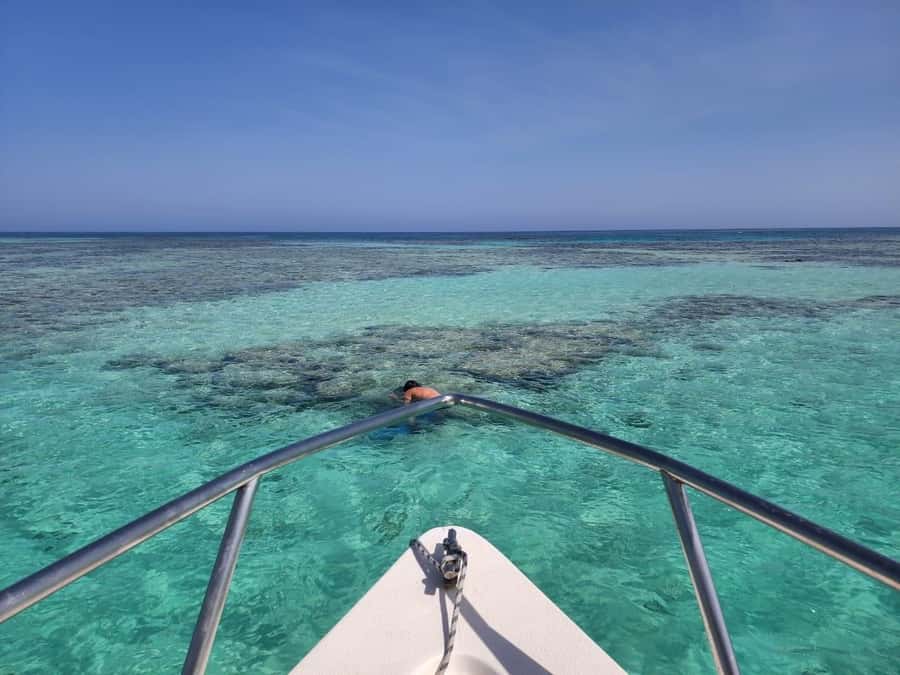 Jeddah: Bayada Leisure Boat Trip with Snorkeling - The Real Value: Guided Snorkeling in Shallow, Fish-Friendly Water