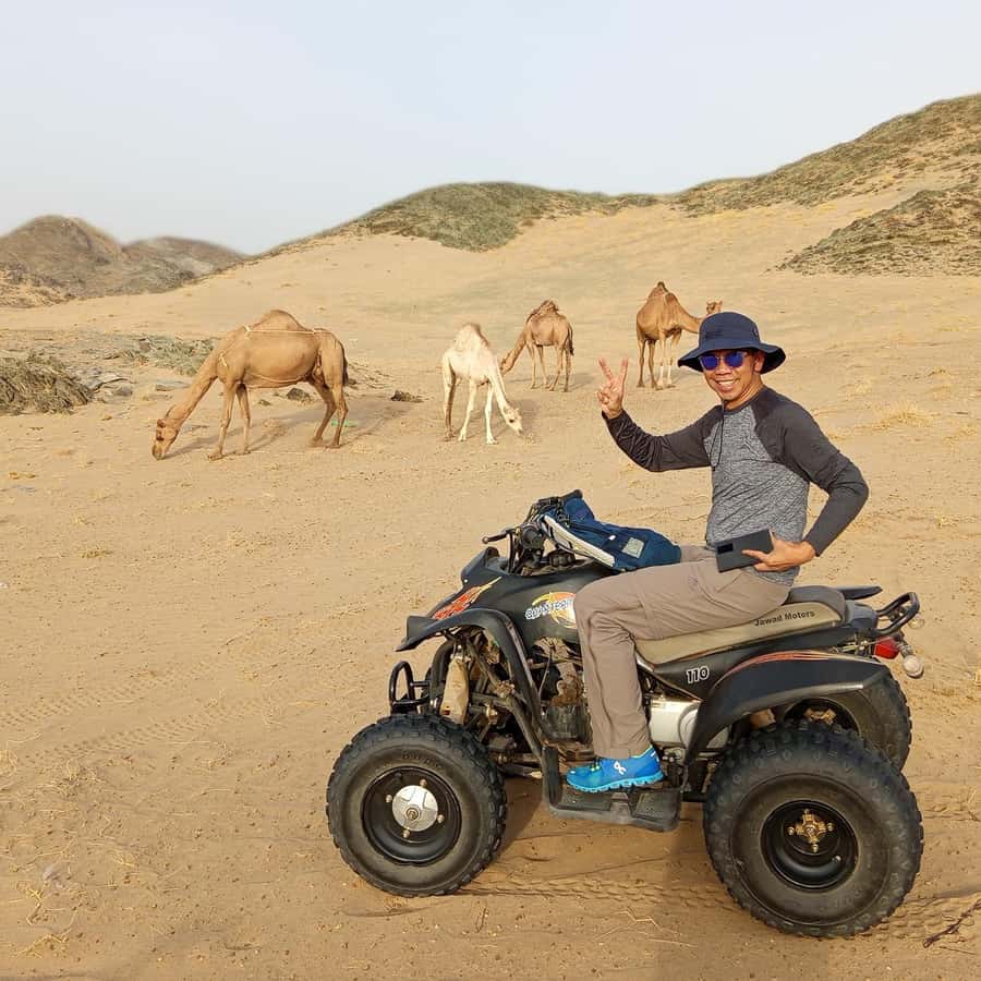 Jeddah Desert Safari: Quad Biking, Camel Farm & Sunset Views - Best Timing: Sunrise, Sunset, and Beating the Heat