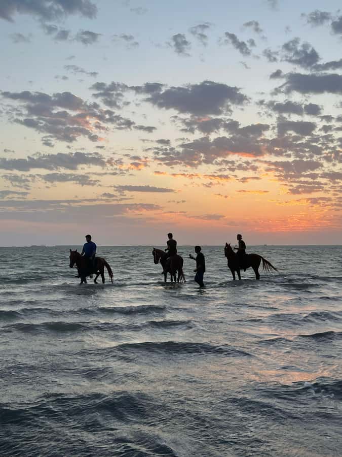 Jeddah: Guided Horseback Ride - Entering Dhahban on Horseback: Why This Ride Feels Different
