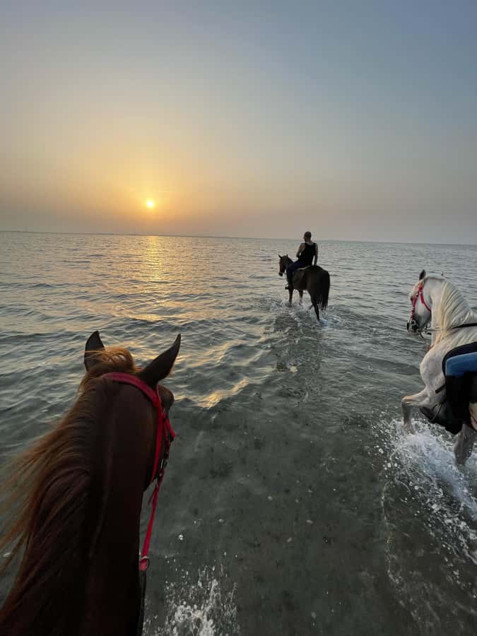 Jeddah: Guided Horseback Ride - Getting There the Easy Way: Stables, Off-Road Stretch, and Add-On Transport