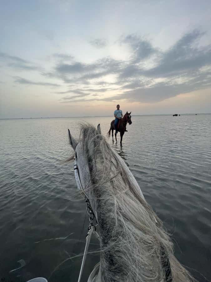 Jeddah: Guided Horseback Ride - Booking Smart: When This Ride Makes Sense for Your Trip