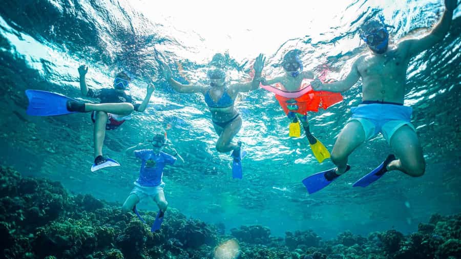 Jeddah: Guided Snorkeling Trip with Snacks and Drinks - Key Things to Know Before You Go
