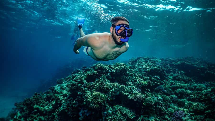 Jeddah: Guided Snorkeling Trip with Snacks and Drinks - Your Boat Day Timeline, From Gear Up to Reef Time