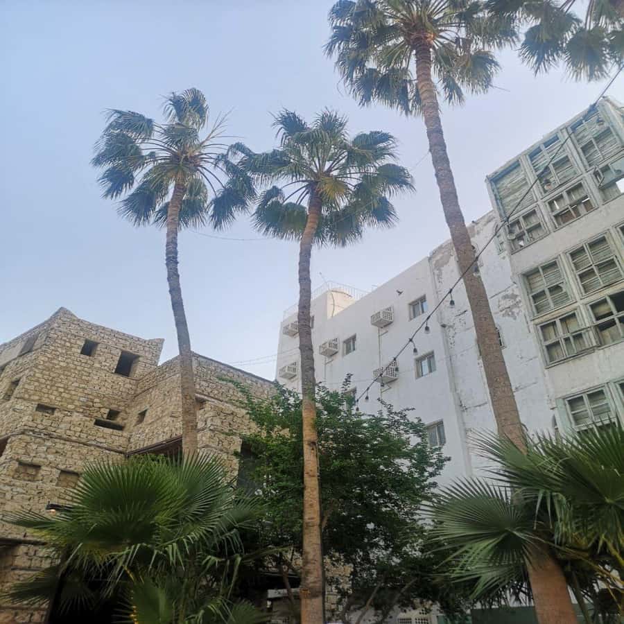 Jeddah: Historic District Tour by a Local licensed Guide - Al-Balad for Two Hours: Squares, Lanes, and Local Craft