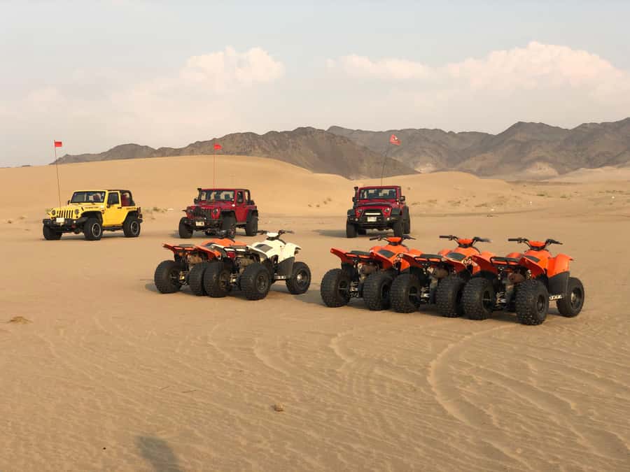 Jeddah: Morning Desert Safari with Quad Bike Tour - Dune Bashing in a 4x4: The Thrill Part, With Real Rider Reality