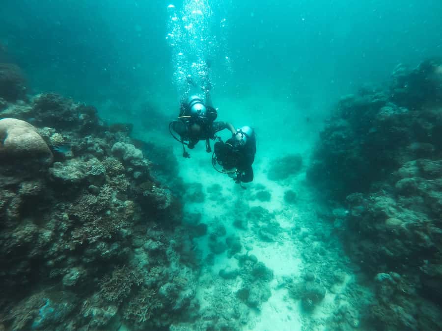 Jeddah: Red sea shore diving (Discovery) - Why a Red Sea discovery session from Jeddah feels special
