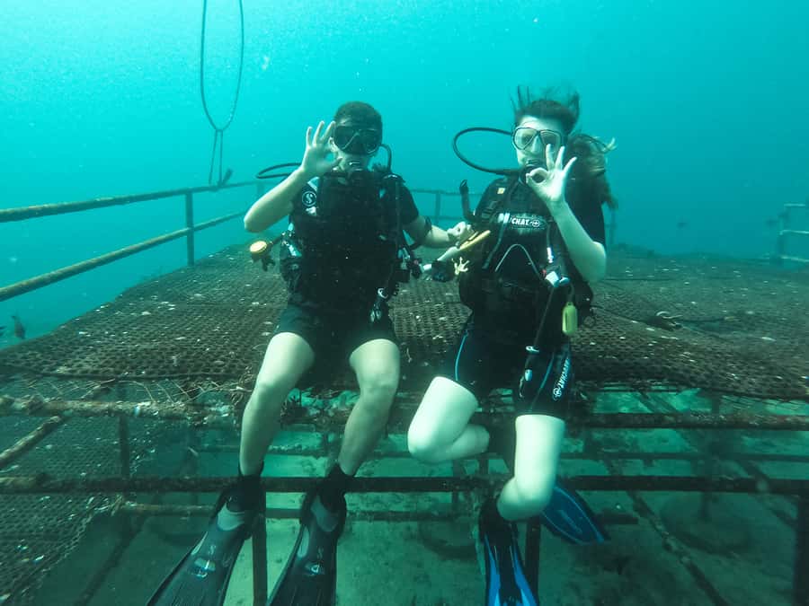 Jeddah: Red sea shore diving (Discovery) - Gear and underwater signals: what you learn before you go under