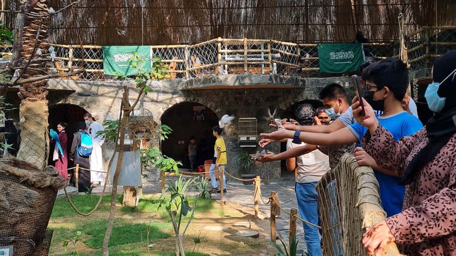 Madina: Guided Tour of the City's Historical Sights - Beer Ghars and Beer Al Khatm: Wells With Stories You Can Actually Picture