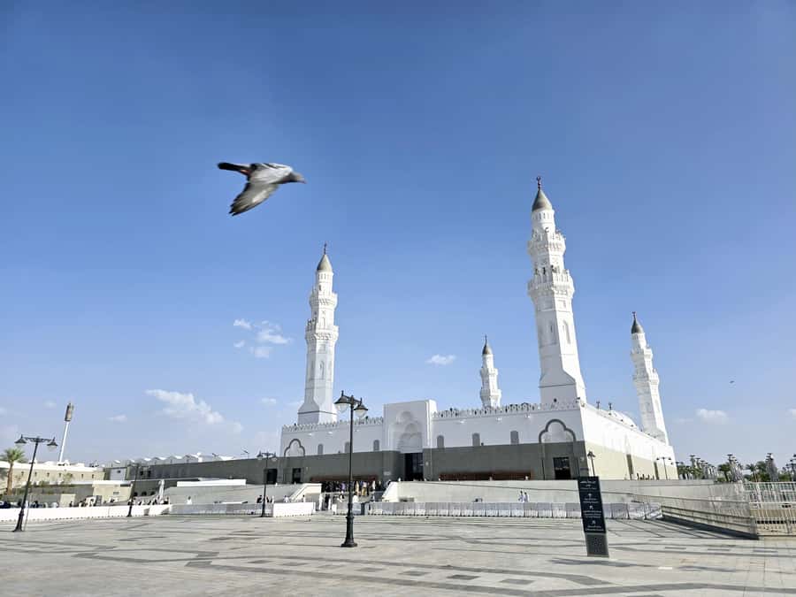 Madinah Culture & History Tour – Led by Local Guide - Trust factors: why the guide quality shows up in the details