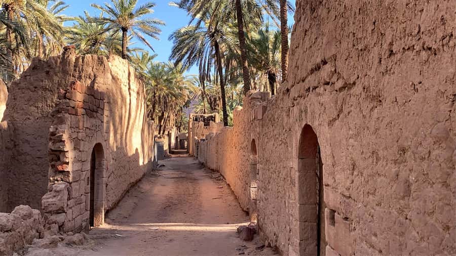 Oasis Adventure in Alula - Price and value: is $39 worth 90 minutes?