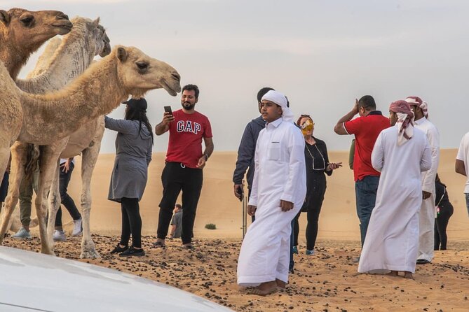 Private Morning Desert Safari with Quad Bike Tours Jeddah - Why the morning Jeddah desert safari feels different than a late tour