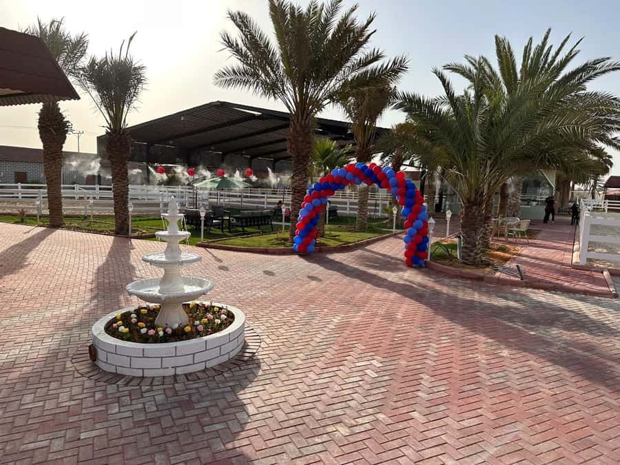 Riyadh: Arabian Horse Riding Experience - Key highlights worth your attention