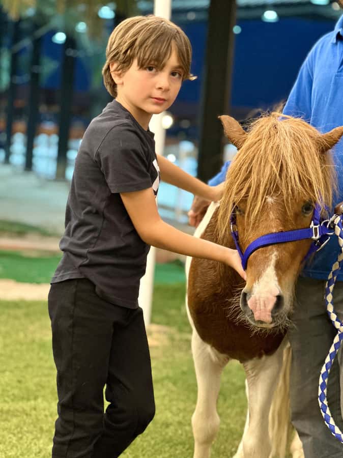Riyadh: Arabian Horse Riding Experience - Medhal Equestrian Centre, and why the breed focus matters