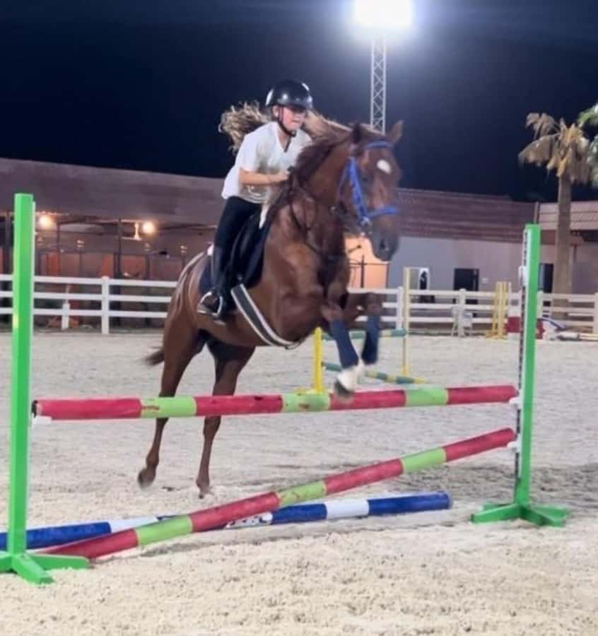 Riyadh: Arabian Horse Riding Experience - Riding basics that you can actually use (beginner to experienced)