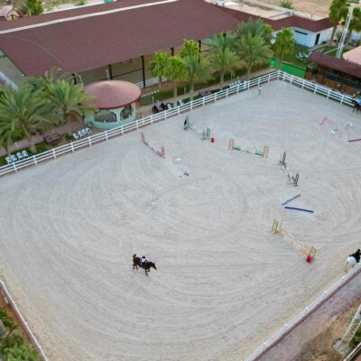Arabian Horse Riding Experience