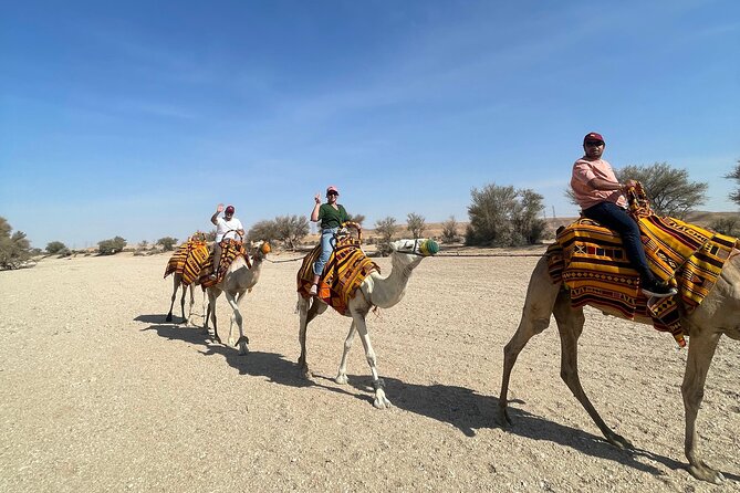 Riyadh City Tour with Camel Riding - Key Highlights You’ll Feel During This Riyadh Day Trip