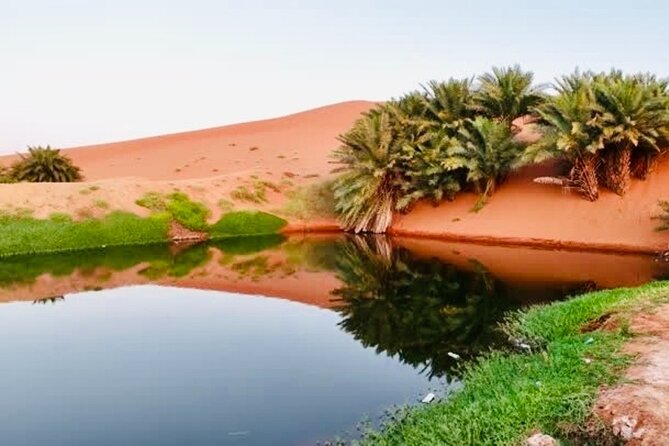 Riyadh City Tour with Camel Riding - The Big Idea: Why This Mix Works in One Long Afternoon