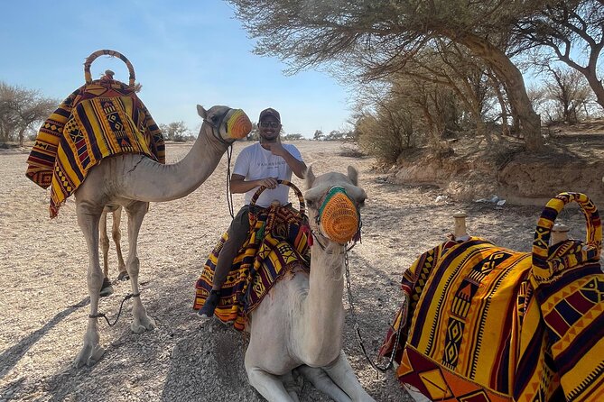 Riyadh City Tour with Camel Riding - Stop 1 at Sadus: A Camel Ride That Actually Gives You Time