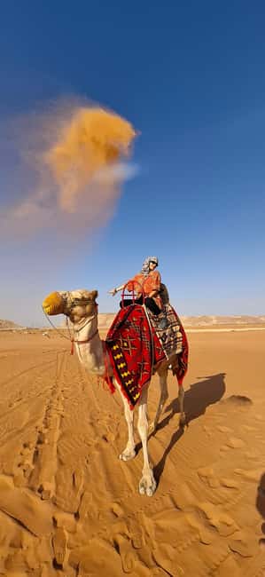 Riyadh: Desert Sand Dunes (VIT-Qude bike + Camel Ride) - Quad Bikes and Dune Walking, Where the Day Turns Electric