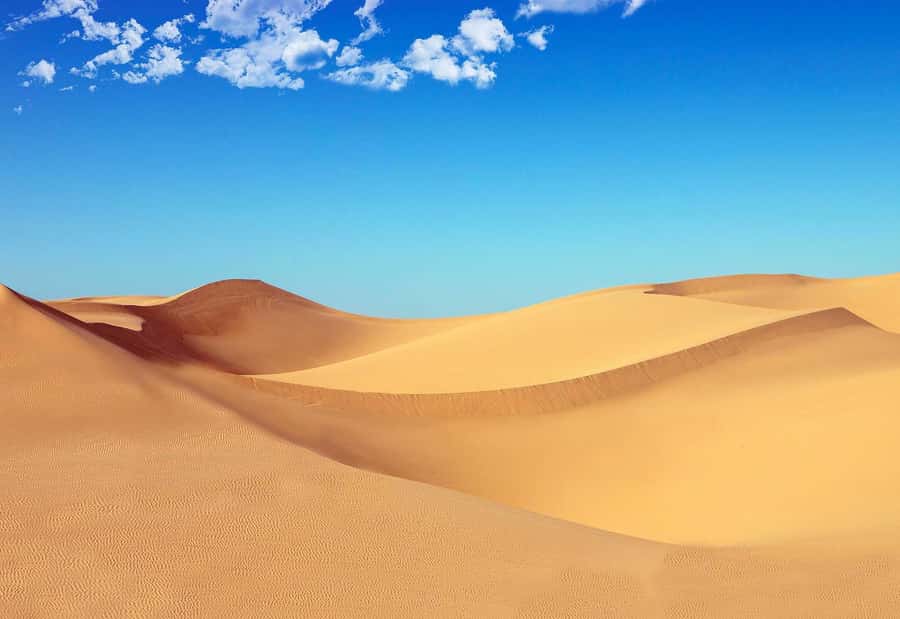 Riyadh: Sand Dunes Desert Safari, Quad Bike, Camel Ride - Quad Bike and Red Dunes: Why This Safari Works in Riyadh