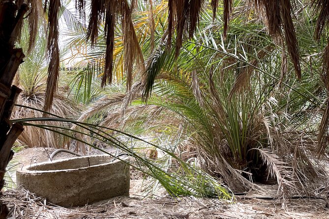 Walk In Moses' Footsteps - Tour between Tabuk and The Red Sea - Price and Logistics: Is $5,740 Per Group Worth It?