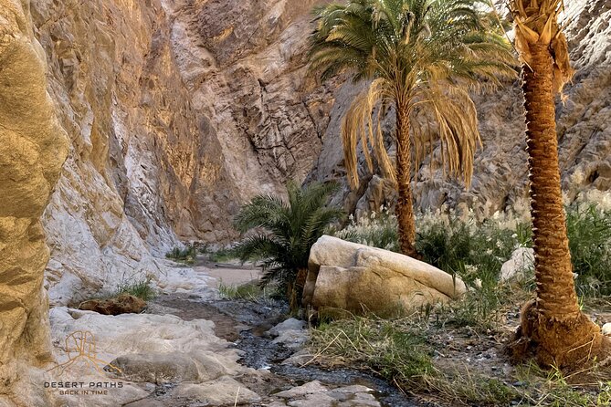 Walk In Moses' Footsteps - Tour between Tabuk and The Red Sea - Who Should Book This Exodus-Themed Desert Route